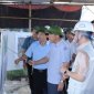 Cẩm thủy phấn đấu đến năn trờ thành huyện nông thôn mới, đứng trong nhóm các huyện dẫn đầu khu vực miền núi
