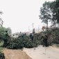 KẾ HOẠCH Vận động nhân dân giải tỏa, mở rộng hành lang an toàn giao thông Đường 518 và đường giao thông Nông thôn trên địa bàn xã Cẩm Tâm